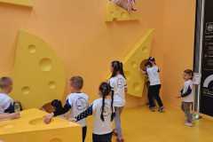 PHOTO-2023-08-08-11-59-47