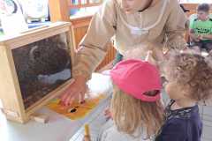 PHOTO-2023-08-08-12-09-50